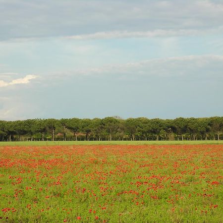Appartamenti Mirella بيبيوني المظهر الخارجي الصورة